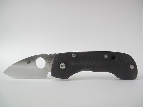 Spyderco Leafstorm