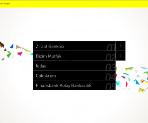 screenshot of Ozan Akoglu