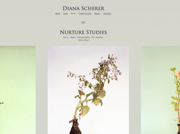 Screenshot of the site