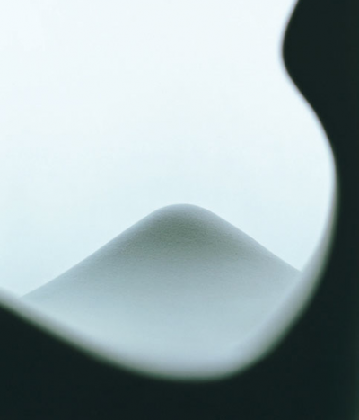 Photo_Fujii_Four