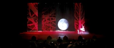Minimalistic Swan Lake