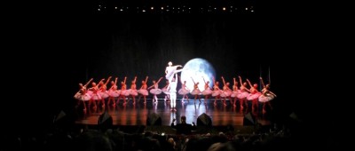 Minimalistic Swan Lake