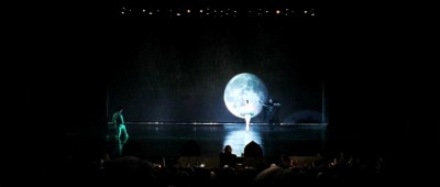 Minimalistic Swan Lake